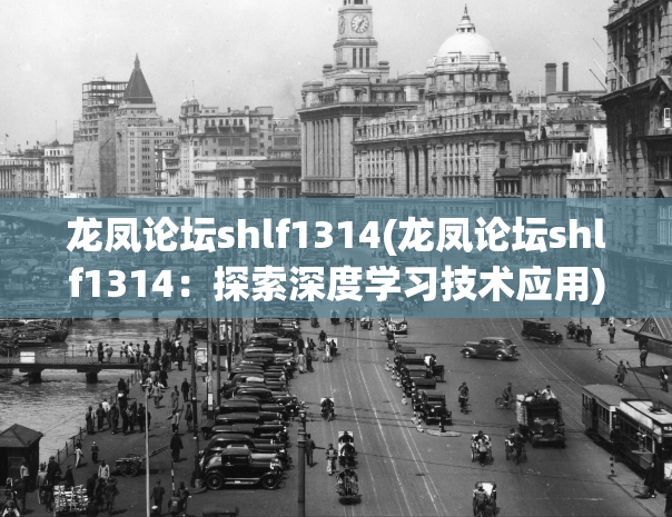 龙凤论坛shlf1314(龙凤论坛shlf1314：探索深度学习技术应用)