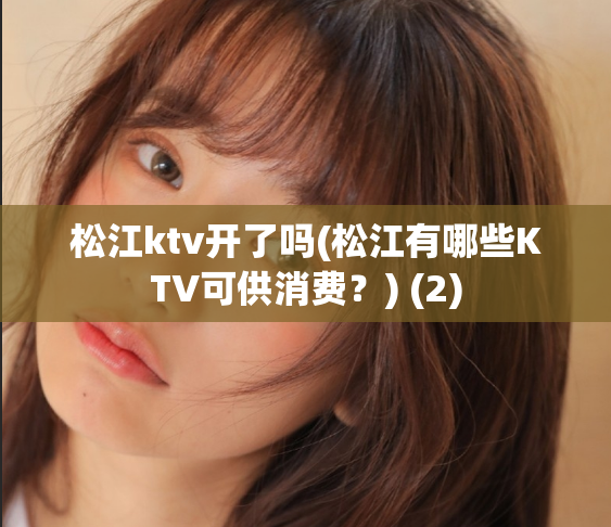 松江ktv开了吗(松江有哪些KTV可供消费？) (2)